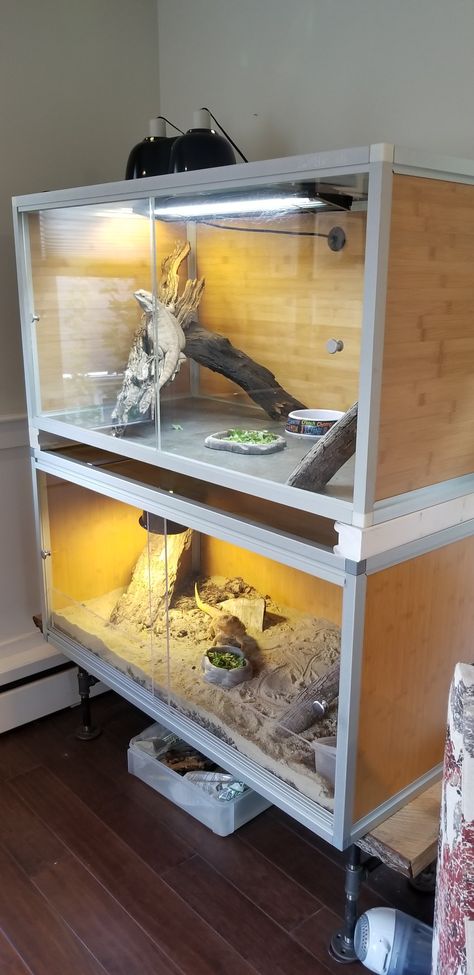 Zen Habitats stacked! Love, love, love! Stacked Reptile Enclosure, Zen Habitat Bearded Dragon, Zen Habitats, Zen Habitat, Animal Enclosures, Bearded Dragon Tank, Bohemian Chic Outfits, Snake Tank, Reptile Room