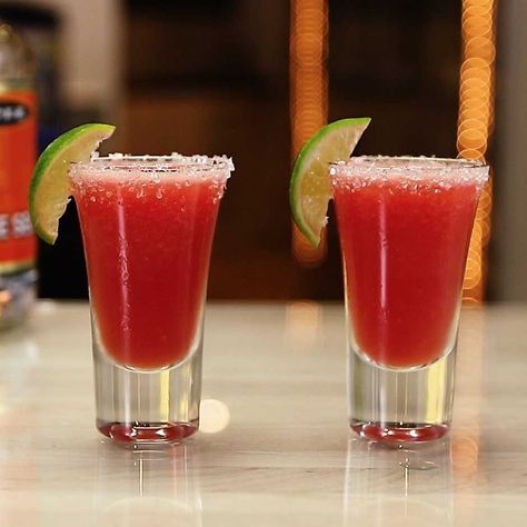 Check out this tasty cocktail recipe with tequila, light tequila, and white tequila. Similar to Day Of The Dead Watermelon Margarita. Margarita Shots, Watermelon Shots, Watermelon Cocktail Recipes, Watermelon Tequila, Citrus Cocktails, Cocktail Shots, Frozen Watermelon, Watermelon Margarita, Tipsy Bartender