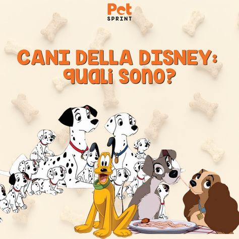 Cani della Disney… ✨🐶 qual è il vostro preferito?? Scrivetecelo nei commenti 🐾 #cane #cani #disney #disneyworld #disneydog #canidisney #canidelladisney #caricadei101 #lillieilvagabondo #bolteroeaquattrozampe #ottoperotto #bandabassotti #dalmata #pastoresvizzero #bassotto #cocker #animalidomestici #amiciaquattrozampe #amicia4zampe Disney World, Disney