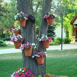 Hangapot customer added hanging clay pots of impatiens to this tree trunk Backyard Herb Garden, Hanging Plants Outdoor, Cheap Plants, Beautiful Birdhouses, Trendy Plants, Terracotta Flower Pots, Plants Outdoor, Hanging Flower Pots, Hanging Flowers