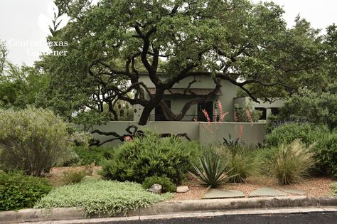 Style Up for Drought and Edible Landscapes | Central Texas Gardener Desert Landscaping Front Yard Arizona Native Plants, Front Yard Prairie Landscaping, Central Texas Native Landscaping, Garden Ideas Texas, Texas Ranch Landscaping Ideas, Texas Hill Country Landscaping Ideas, Austin Texas Landscaping Ideas, Texas Hill Country Landscaping, Front Yard Drought Tolerant