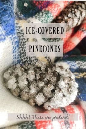 Shh! They are pretend! Kids will love creating these "ice" covered pinecones. A great STEM activity for home! Borax Pinecones, Borax Ornaments Christmas, Borax Christmas Ornaments, Borax Crystal Pinecones, Borax Crystals Diy Ideas, Borax Ornaments, Borax Crafts, Borax Crystal Ornaments, Borax Crystals Diy