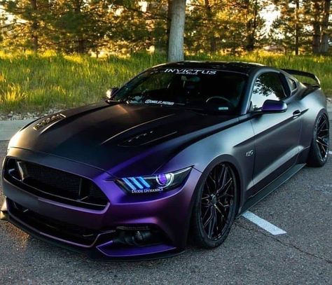 Ford Mustang Car, Car Inspiration, Street Racing Cars, Cool Sports Cars, Mustang Cars, Classy Cars, Pretty Cars, Car Colors, Top Cars