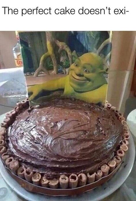 Weirdest Pictures, Shrek Memes, Pretty Birthday Cakes, Weird Pictures, Perfect Cake, Shrek, Pretty Cakes, Cute Cakes, Cute Food