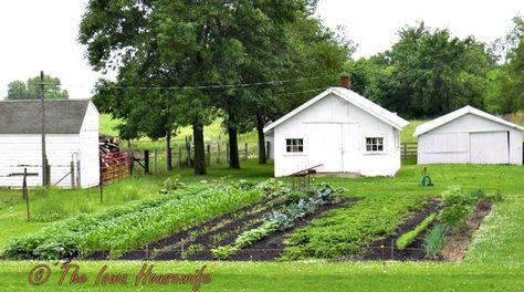 The Iowa Housewife: Sunday in Iowa...Garden near Melcher-Dallas Iowa, Shed, Cabin, Outdoor Structures, House Styles, Outdoor Decor