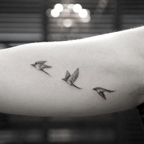 100+ Lovely Swallow Tattoos | Art and Design Small Swallow Tattoo, Swallow Hand Tattoo, Robin Tattoo, Small Bird Tattoos, Tiny Bird Tattoos, Vogel Tattoo, Flying Bird Tattoo, Girl Back Tattoos, Swallow Tattoo