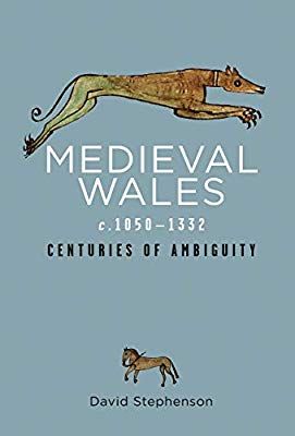 Medieval Wales c.1050-1332: Centuries of Ambiguity (Rethinking the History of Wales) Medieval Wales, Eclectic Library, History Of Wales, Celtic History, Medieval England, Historical Books, Book Writer, Book Study, Reading Resources