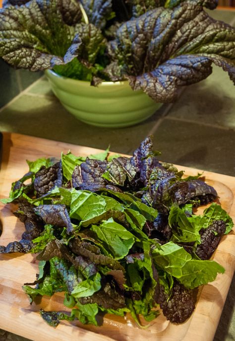 Red Mustard prepped Red Mustard Greens Recipe, Spring Side Dishes, Chinese Mustard, Beans And Cornbread, Lettuce Recipes, Mustard Plant, Kitchen Gardens, Mustard Recipe, The Tiny Seed