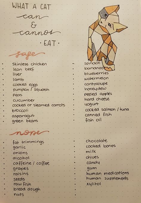 For once I wanted to know what I can and cannot feed my cats. I decided to add it to my bullet journal! Cat Food Chart, Orange Cat Knowledge, Cat Diet Tips, Cat Routine Schedule, What To Feed Cats, Cat Diet Plan, Cat Feeding Schedule, Foods Cats Can Eat, Cat Age Chart