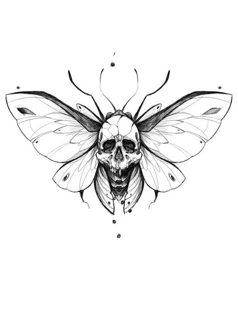 Skull Moth Tattoo Design, Moth Tattoo Sketch, Skull Butterfly Tattoo, Moth Tattoo Design, Traditional Tattoo Designs, Magic Runes, Light Tattoo, Insect Tattoo, Bug Tattoo