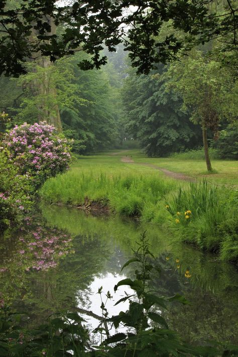 Meena's Tirith, Fae Aesthetic, Trees And Flowers, Garden Cottage, Nature Aesthetic, Pretty Places, Underworld, Green Aesthetic, Pretty Pictures