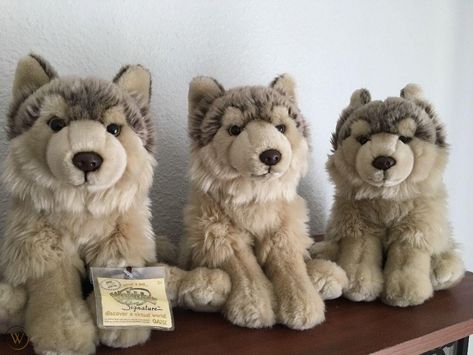 Wolf Plushie Aesthetic, Wolf Core, Wolf Plushie, Douglas Dog, Timber Wolves, Toys Aesthetic, Webkinz Signature, Wolf Stuffed Animal, Dog Plushie