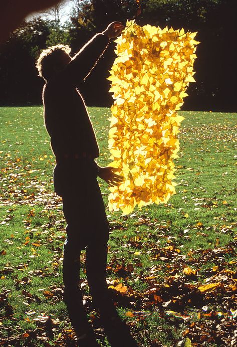 Andy Goldsworthy: Rediscovering a Spirit of Freedom — Sojourn Arts Andy Goldworthy, Sycamore Leaves, Environmental Artist, Ephemeral Art, Andy Goldsworthy, Earth Art, Wow Art, Landscape Artist, Sculpture Installation