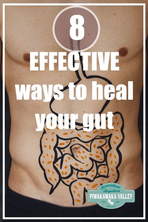 Do you suffer from allergies, poor digestion or irritable bowel? Here are 8 effective ways you can use to heal your gut today. #piwakawakavalley #guthealth #probiotics #naturalhealth Growing Herbs Inside, Drink Apple Cider Vinegar, Cider Vinegar Drink, Vinegar Drink, Improve Your Gut Health, Essential Oil Products, Colon Detox, For Sore Throat, Homesteading For Beginners