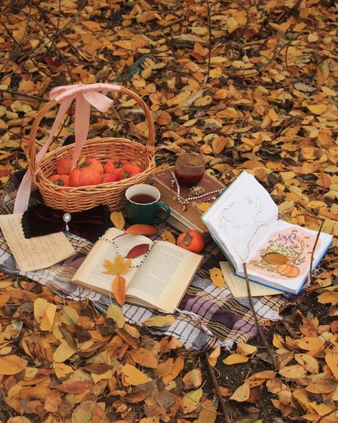 Fall details 🧺✨🦋📕 . . . . . . . . . #cottagecore #macrophotography #vintagephotography #vintagedishes #beautyinsimplicity #basket #romanticacademia #slowliving #storyofmylife #vintage #vintagedecor #fallaesthetic #yourvintagesoul #lightacademia #folkcoreaesthetic #hobbit #hobbitcore #gardencore #visualpoetry #picnic #forestcore #moodygrams #cottagelife #romanticizeyourlife #theheartofslowliving #falldetails #fallpicnic #greenacademia #myquietbeauty Details, basket, vintage details, vintage... Fall Cottagecore, Green Academia, Fall Picnic, Forest Core, Romantic Academia, Basket Vintage, Vintage Details, Visual Poetry, + Core + Aesthetic