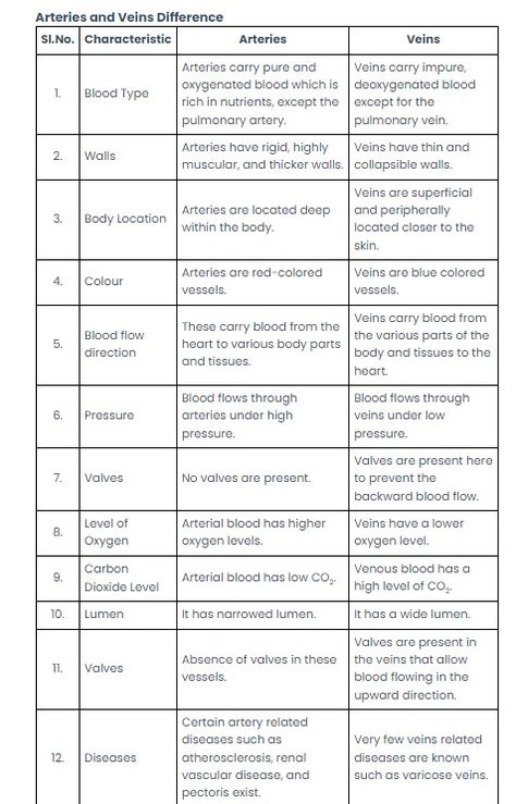 Biology Important Questions 2023-24 Division Algorithm, Arteries And Veins, Nerve Cell, Linear Equations, Math Materials, Top Colleges, Class Notes, Blood Flow, Previous Year