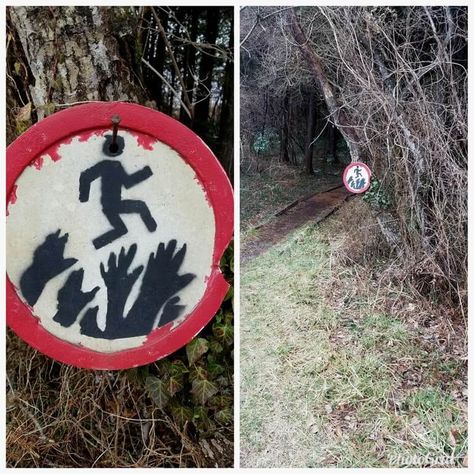 This Doesn’t Look Promising Images Terrifiantes, Fancy Dress Competition, Starship Enterprise, Lightning Strikes, Walk In The Woods, Road Signs, Funny Signs, A Sign, Sign I