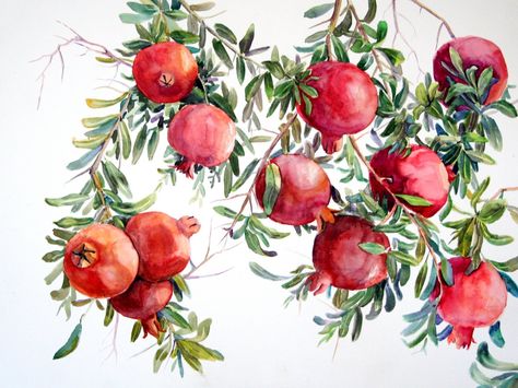 Pomegranate Drawing, Floral Artists, Pomegranate Art, Fruits Drawing, Watercolor Fruit, Illustration Botanique, Watercolor Flower Art, Fruit Painting, 수채화 그림