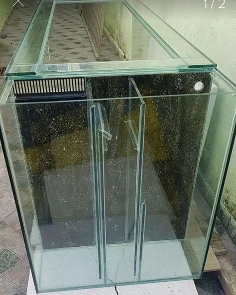 Diy Aquarium Filter, Aquarium Hood, Saltwater Aquarium Setup, Aquarium Sump, Discus Aquarium, Aquarium Sand, Acrylic Aquarium, Amazing Aquariums, Fish Tank Terrarium