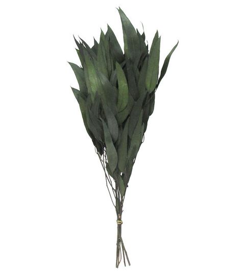 19" Dried Eucalyptus Leaves Bouquet by Bloom Room | JOANN Leaves Bouquet, Dried Eucalyptus, Green Eucalyptus, Metal Vase, Entryway Table, Eucalyptus Leaves, Pop It, Joanns Fabric And Crafts, Craft Stores