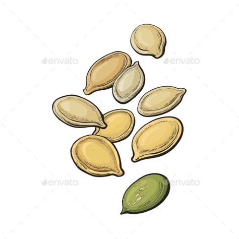 Whole and peeled pumpkin seeds, vector illustration isolated on white background. Drawing of pumpkin seeds on white background, de Pumpkin Seeds Drawing, Pumpkin Seed Tattoo, Seed Drawing, Seeds Illustration, 500 Drawing Prompts, Sketchbook Goals, Eco Game, Seed Tattoo, Seed Illustration