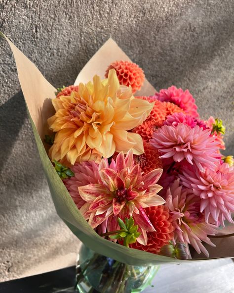 Make your home and garden magical with dahlias! 💫 #Dahlias #dalijas #percdalijas Daliah Bouquet, Bouquets With Dahlias, Dalia Bouquet, Dahlia Flower Bouquet, Dahlias Bouquet, Wedding Dahlias, Biology Project, Dahlia Wedding, Flower Dahlia