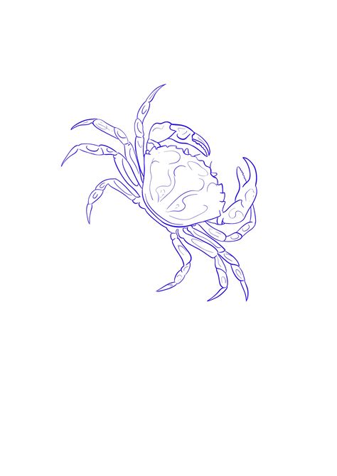 Sea Crab Tattoo, Crab Tattoo With Flowers, Crab Line Tattoo, Fineline Crab Tattoo, Dungeness Crab Tattoo, Floral Crab Tattoo, Maryland Blue Crab Tattoo, Crab Tattoo Men, Tiny Crab Tattoo