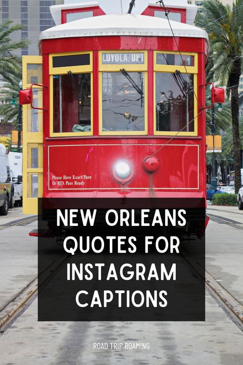 Discover the charm, history, and culinary delights of New Orleans in this collection of favorite quotes. Explore the vibrant neighborhoods, music scene, and unique vibe that make the "Big Easy" a cultural gem. Get ready to capture the spirit of NOLA with these captivating Instagram captions! New Orleans Quotes Nola, Camping Hiking Outfit, Midwest Hiking, New Orleans Quotes, Best Cameras For Travel, Best Hiking Gear, Ultimate Summer Bucket List, New Orleans Architecture, New Orleans Music