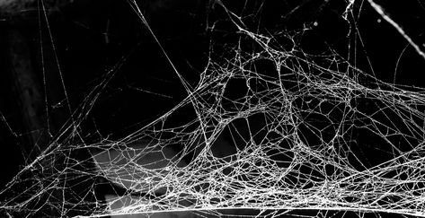 Black Background Horizontal, Background Horizontal, Rubber Cement, Spider Costume, Halloween Spider Decorations, Levitation Photography, Homemade Halloween Decorations, Pop Art Drawing, Spider Webs