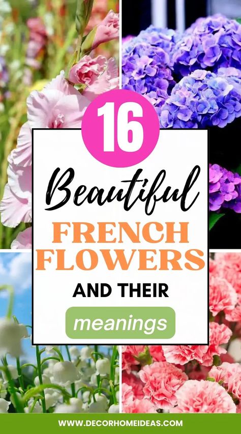 Explore the charming allure of 16 adorable French flowers and their profound meanings in our captivating article. Unravel the language of flowers as we unveil the heartfelt messages conveyed by each delicate blossom. French Table Setting, Flowers And Their Meanings, White Garage, French Gardens, Paris Flowers, French Lilac, The Language Of Flowers, Most Popular Flowers, French Flowers