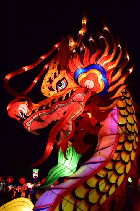 Chinese Culture Aesthetic, Chinese Culture Art, Ancient Egypt Architecture, Ancient China Aesthetic, Dragon Chino, Night Festival, Chinese New Year Dragon, China Culture, Chinese Festival