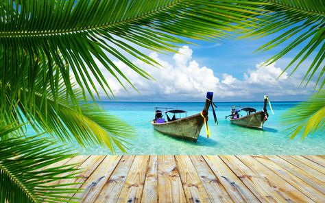 Nature, Landscape, Beach, Tropical, Palm Trees, Walkway, Boat, Thailand, Sea, Summer #nature #landscape #beach #tropical palm trees #walkway #boat #thailand #sea #summer #2K #wallpaper #hdwallpaper #desktop Palm Trees, Boats, The Beach, Trees, Water