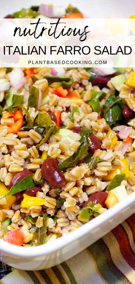 Elevate your salad game with this delicious and wholesome Italian Farro Salad! Made with wholesome ingredients and loaded with fresh veggies, this dish is bursting with flavor and nutrition. The zesty red wine vinaigrette adds a punch of acidity and is perfectly balanced with a touch of curry, making every bite a sensational experience. Farrow Salad, Warm Farro Salad, Plant Based Cooking, Farro Salad Recipes, Vegan Cheese Recipes, Plant Based Lunch, Red Wine Vinaigrette, Leafy Green Salads, Farro Salad