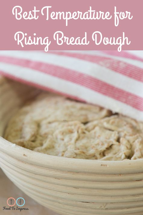 Bread Rising Tips, Sourdough Bread Not Rising, Rising Bread Dough In Oven, How To Proof Dough In Oven, Proofing Bread In Oven, How To Proof Dough, Proofing Bread, Homemade Bread Dough, Bread Proofer