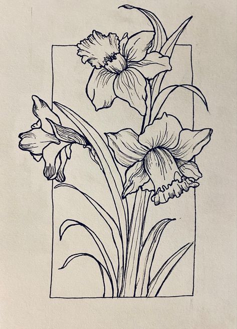 Flower Drawing Daffodil, Daffodils Drawing Simple, Narciss Flower Drawing, Daffodil Sketch Tattoo, Daphadil Flower Drawing, Drawing Of Daffodils, Daffodil Coloring Pages, Daffodil Tattoo Drawing, Daphidill Flower Tattoo