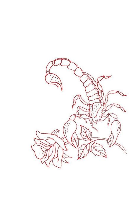 Scorpion Tattoo Outline, Scorpion Tattoo Drawing, Scorpion Tattoo Stencil, Cute Scorpion Tattoo, Scorpion Outline, Red Scorpion Tattoo, Cute Scorpion, Scorpion Tattoo Design, Scorpion Tattoos