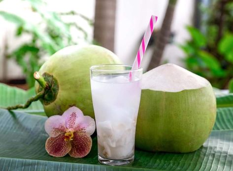 Buko Juice, Lactation Tea, Lactation Smoothie, Blessed Thistle, Iced Drinks Recipes, Contaminated Food, Air Kelapa, Increase Milk Supply, Breastmilk Supply