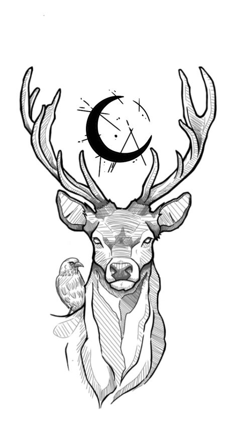 Native Deer Tattoo, Deer Moon Tattoo, Deer Tattoo Sketch, Deer Head Sketch, Deer Tattoo Stencil, Deer Sketch Tattoo, Fallow Deer Tattoo, Simple Elk Drawing, Stag Drawing Sketches