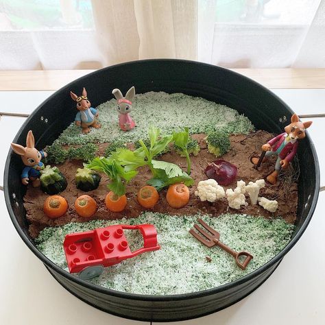 ✨Tara on Instagram: “Peter Rabbit small world playtray! I have been wanting to do one of these little garden playtrays for ages but kept forgetting to keep our…” Peter Rabbit Sensory Bin, Peter Rabbit Tuff Tray Ideas, Peter Rabbit Sensory Play, Peter Rabbit Tuff Tray, Rabbit Activities, Infant Toddler Classroom, High Scope, Diy Playroom, Peter Rabbit Birthday