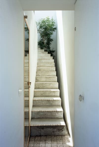 Takeshi Hosaka Architects, Masao Nishikawa, Koji Fujii/Nacasa and Partners Inc. · LOVE HOUSE. Yokohama, Japan · Divisare Takeshi Hosaka, Staircase Molding, Japanese Architect, Two Storey House, Home Library Design, Timber Structure, Wooden Staircases, Library Design, Miniature House