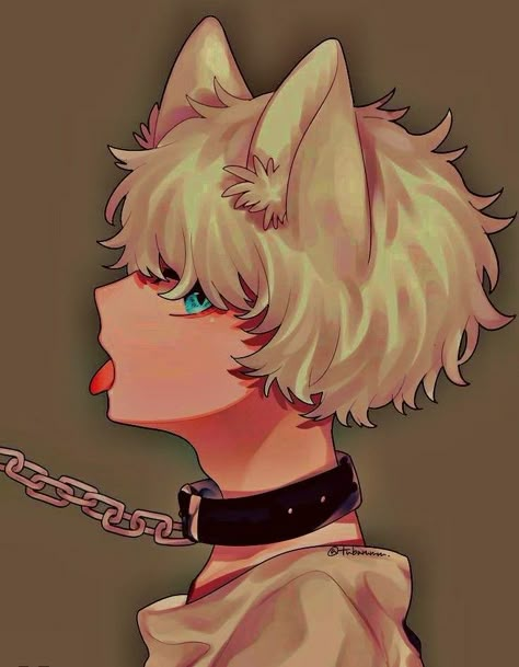 Anime Puppy, Anime Cat Boy, Walpapers Cute, Neko Boy, Pelo Anime, Cat Boy, Boy Anime, Cat Boys, Anime Cat