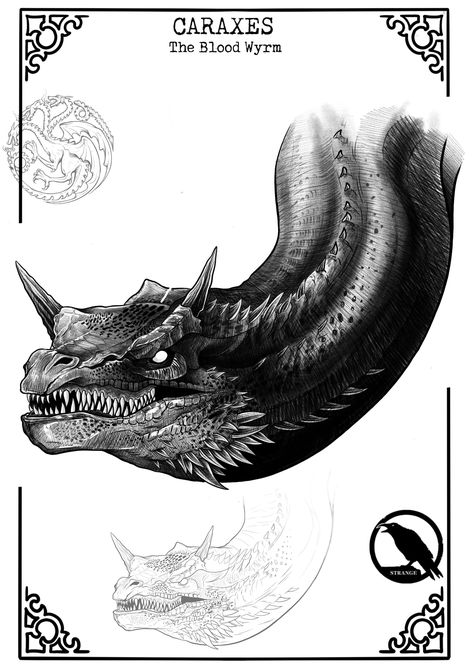 Caraxes Dragon Drawing, Caraxes Dragon Tattoo, House Of Dragon Art, House Of The Dragon Caraxes, Werewolf Drawing, Drogon Game Of Thrones, Dragon Tattoo Art, Game Of Thrones Dragons, Dragon Memes