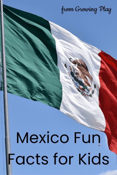 Fun Facts About Mexico, Mexico For Kids, Mexico Country, Fun Facts For Kids, Mysteries Of The World, Living In Mexico, Visit Mexico, Facts For Kids, Teaching Preschool