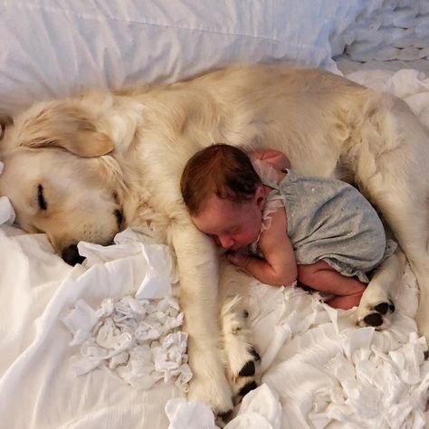 21 Photos of Dogs and Babies Napping Together That Will Make Your Heart Physically Ache Puppies And Babies, Babies And Dogs, Babies With Dogs, Dog And Baby Pictures, Baby And Dog, Family Dog Aesthetic, Family With Dog, Dog And Baby, Dogs And Babies