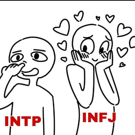 INTP X INFJ Intp Infj, Intp Relationships, Intj Infp, Intp Mbti, Infp T Personality, Mbti Charts, Introvert Extrovert, Intp Personality Type, Intp T