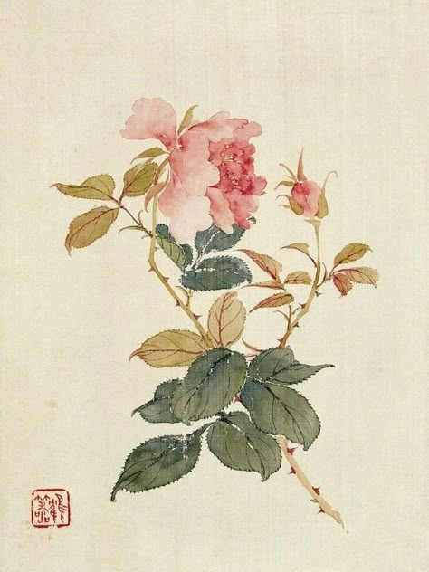 Peony Drawing, New Tattoo Designs, Chinese Art Painting, Asian Painting, Watercolor Landscape Paintings, Botanical Painting, Botanical Drawings, Chinese Painting, Watercolor Artwork