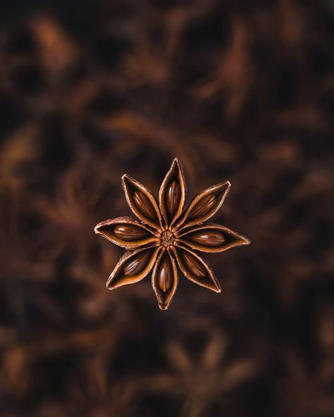 selective focus photography of star anise spice photo – Free Seasoning Image on Unsplash Macro Ideas, Macro Food Photography, Spices Photography, Macro Shots, Focus Photography, Full Hd Wallpaper, Star Anise, Brown Aesthetic, Photographing Food