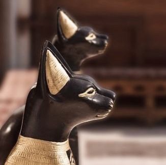 Bastet Aesthetic, Animal Crossing Cats, Bastet Goddess, Egypt Aesthetic, Goddess Aesthetic, Egyptian Mythology, Egyptian History, Animal Games, Egyptian Gods