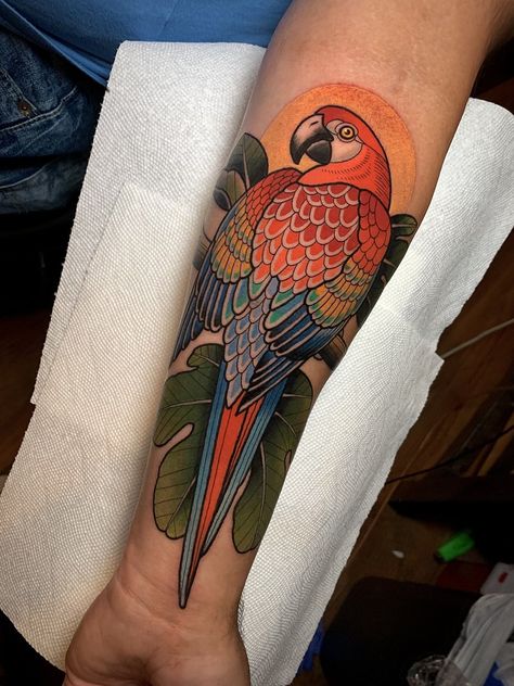 DAVE WAH - Tattoo Artist - Baltimore Maryland Macaw Tattoo, Stay Humble Tattoo, Humble Tattoo, Parrot Tattoo, Scarlet Macaw, Tattoo Videos, Baltimore Maryland, American Traditional, Unique Tattoos