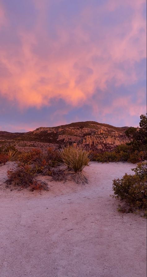 Mt. Lemmon Arizona #pretty #sunrise #aesthetic #western #desertlandscaping Mt Lemmon, Pretty Sunrise, Aesthetic Western, Sunrise Aesthetic, Desert Landscaping, The Mountain, Arizona, Country Roads, Natural Landmarks